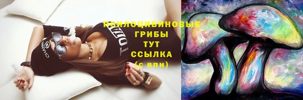 стаф Карталы