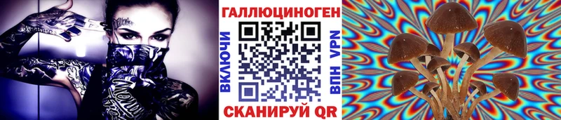 Псилоцибиновые грибы Magic Shrooms  где можно купить   Снежногорск 